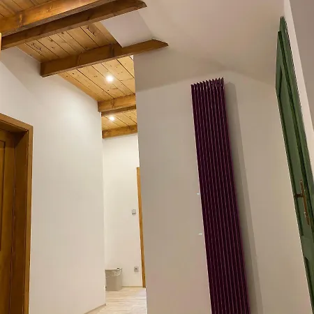 Ferienwohnung Steinhaus / Kamenny Dum Zdíkov Exterior foto
