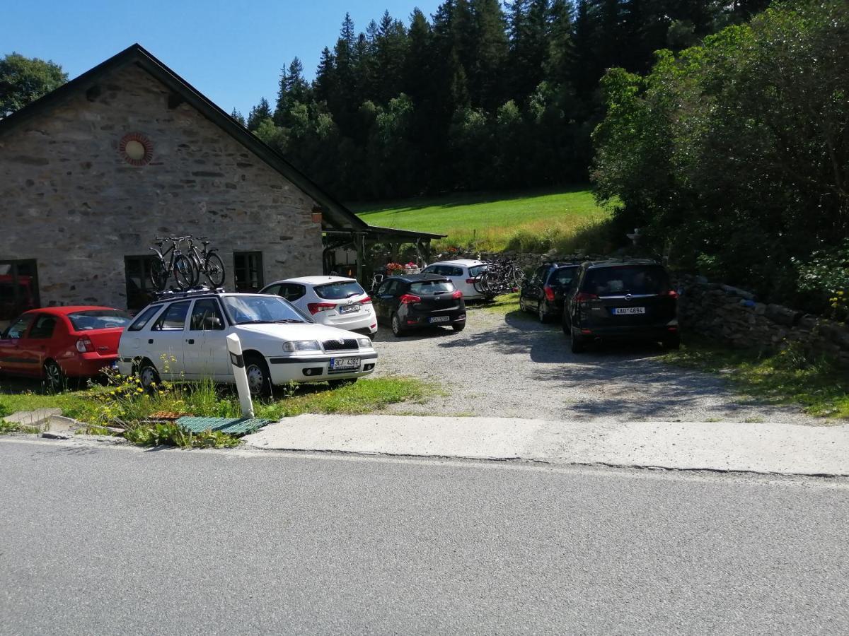 Apartmán Steinhaus / Kamenny Dum Zdíkov