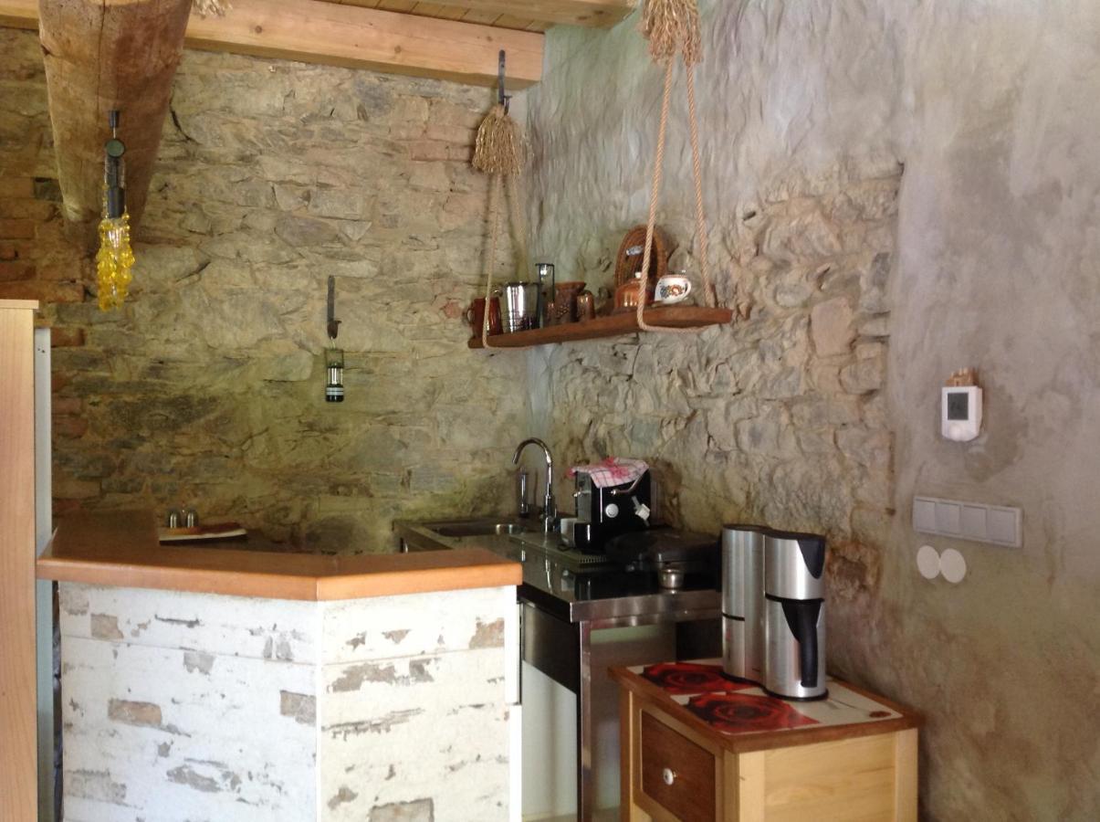Apartmán Steinhaus / Kamenny Dum Zdíkov