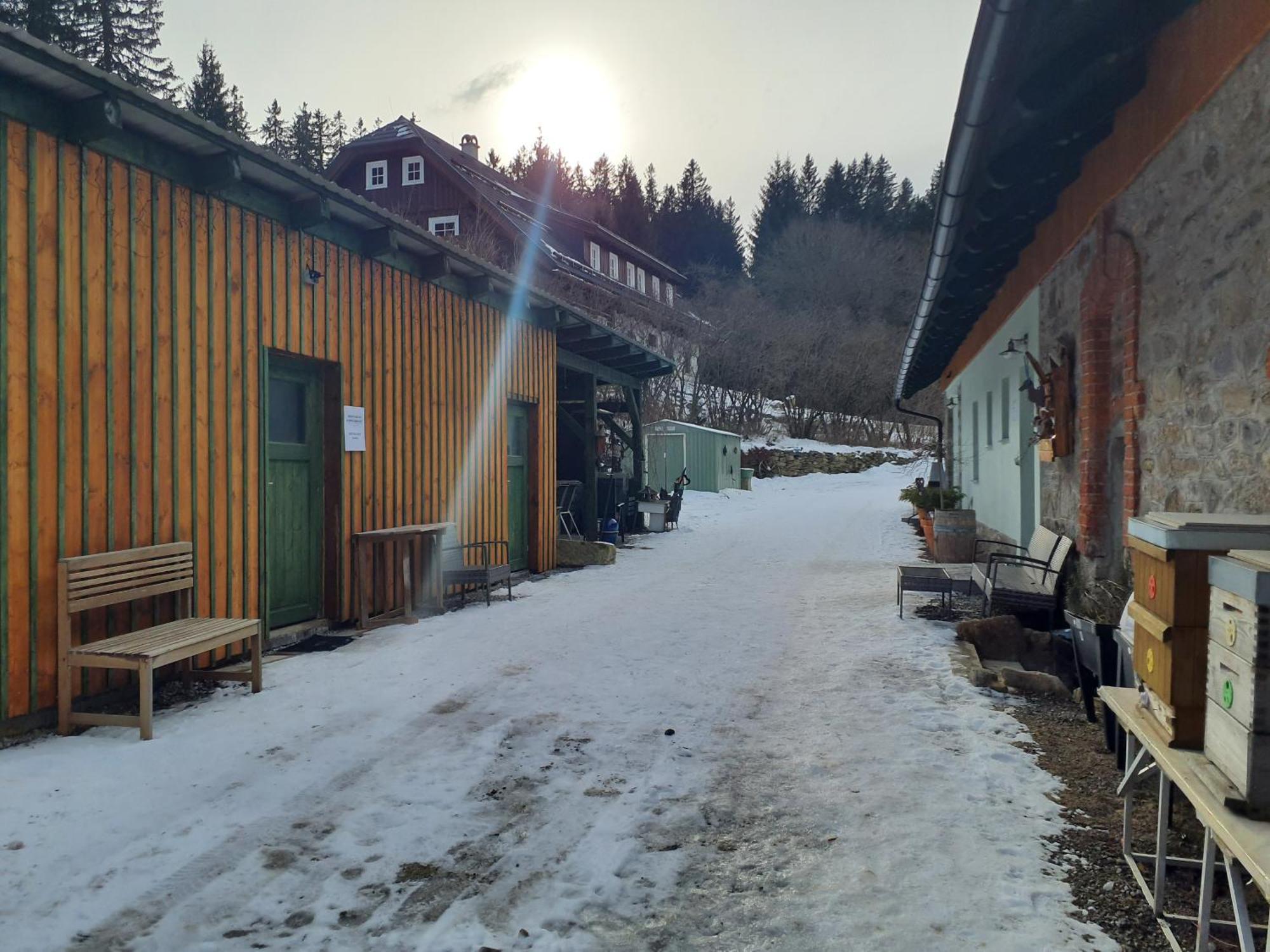 Steinhaus / Kamenny Dum Apartmán Zdíkov